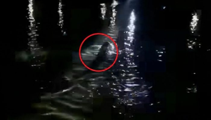 Dikejar Warga, Pencuri di Palu Nekat Terjun ke Sungai yang Ada Buayanya