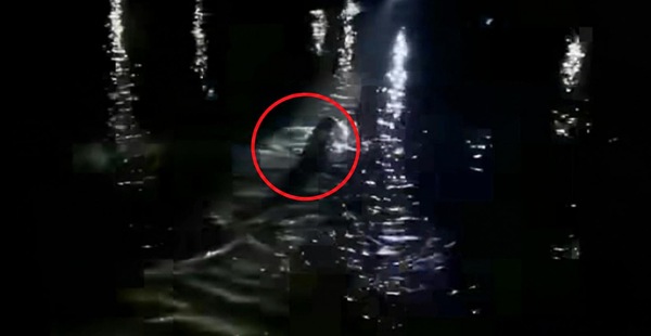 Dikejar Warga, Pencuri di Palu Nekat Terjun ke Sungai yang Ada Buayanya