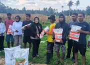 Srikandi LMP Parigi Moutong Selpina Basrin, Bantu Bibit Jagung Petani Desa Lobu Mandiri