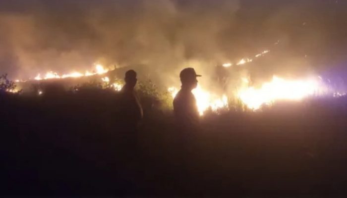 Ancaman Karhutla di Sulteng, Pencegahan Berbasis Desa