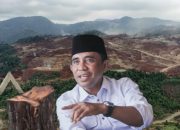 Kemarahan Anwar Hafid soal Pohon Rujab Ditebang seperti ‘Senjata Makan Tuan’