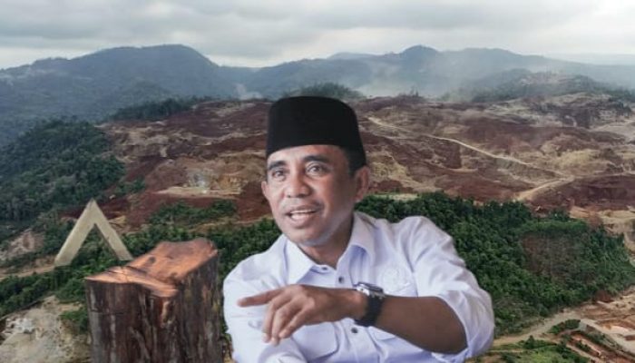 Kemarahan Anwar Hafid soal Pohon Rujab Ditebang seperti ‘Senjata Makan Tuan’