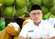 Sulteng Tancap Gas Percepat Hilirisasi Kelapa dan Kakao, Neng: Petani Kita Siap-siap Naik Kelas