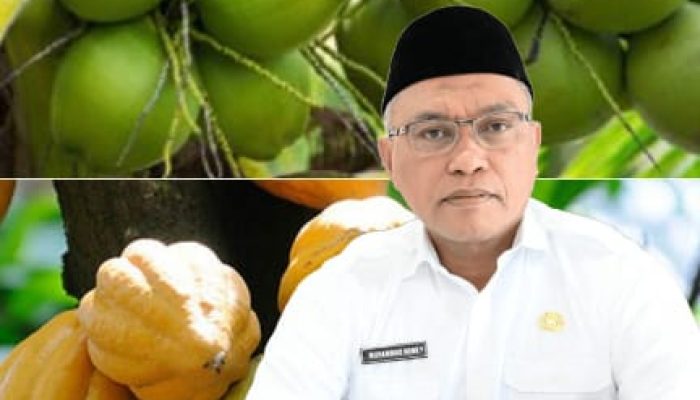 Sulteng Tancap Gas Percepat Hilirisasi Kelapa dan Kakao, Neng: Petani Kita Siap-siap Naik Kelas
