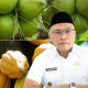 Sulteng Tancap Gas Percepat Hilirisasi Kelapa dan Kakao, Neng: Petani Kita Siap-siap Naik Kelas