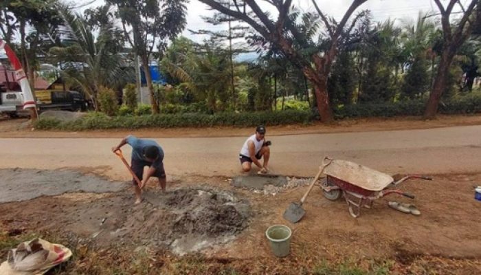 Warda Dg Mamala Sumbang Semen, Warga Gotong Royong Perbaiki Jalan di Kolonodale