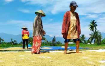 Hari Tani Nasional 2026 di Tengah El-Nino, Titip Harapan kepada Sang Khalik