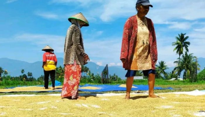 Hari Tani Nasional 2026 di Tengah El-Nino, Titip Harapan kepada Sang Khalik