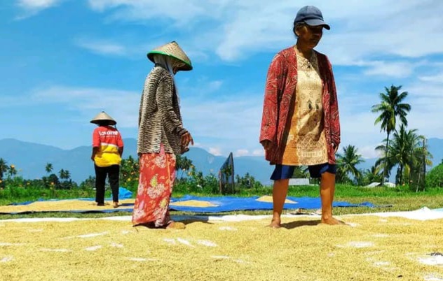 Hari Tani Nasional 2026 di Tengah El-Nino, Titip Harapan kepada Sang Khalik
