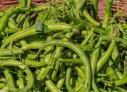 2 Jenis Kacang yang Dikaitkan dengan Kesehatan Jantung dan Metabolisme