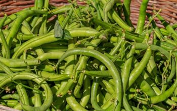 2 Jenis Kacang yang Dikaitkan dengan Kesehatan Jantung dan Metabolisme