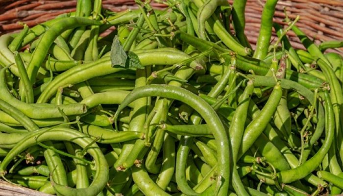 2 Jenis Kacang Dikaitkan dengan Kesehatan Jantung dan Metabolisme