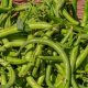 2 Jenis Kacang yang Dikaitkan dengan Kesehatan Jantung dan Metabolisme