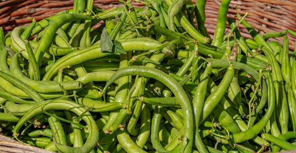 2 Jenis Kacang yang Dikaitkan dengan Kesehatan Jantung dan Metabolisme
