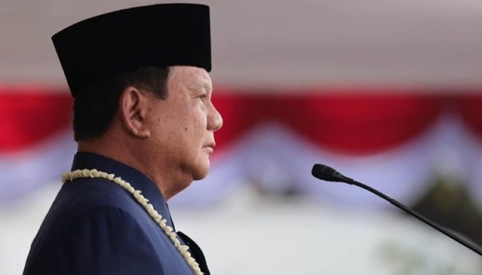 Presiden Prabowo Khawatir Karhutla Sasar IKN, Minta Penanganan Serius