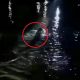 Dikejar Warga, Pencuri di Palu Nekat Terjun ke Sungai yang Ada Buayanya