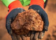 Indonesia Impor Nikel dari Filipina, Smelter Morowali-Morut Dapat 3,94 Juta Metrik Ton