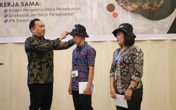 BPDP, Ditjenbun dan IPB Training Latih 70 Petani Sawit Morut Bikin Pupuk Organik