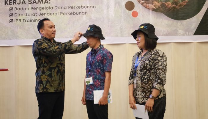 BPDP, Ditjenbun dan IPB Training, Latih 70 Petani Sawit Morut Bikin Pupuk Organik