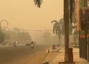 Dampak Karhutla, Kasus ISPA di Indonesia Tembus 283 Ribu Lebih