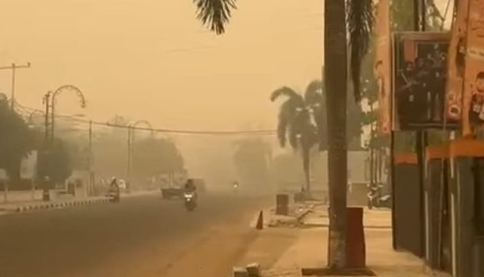 Dampak Karhutla, Kasus ISPA di Indonesia Tembus 283 Ribu Lebih